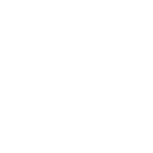 662601cc1ca9585b44dca0d5_wild logo